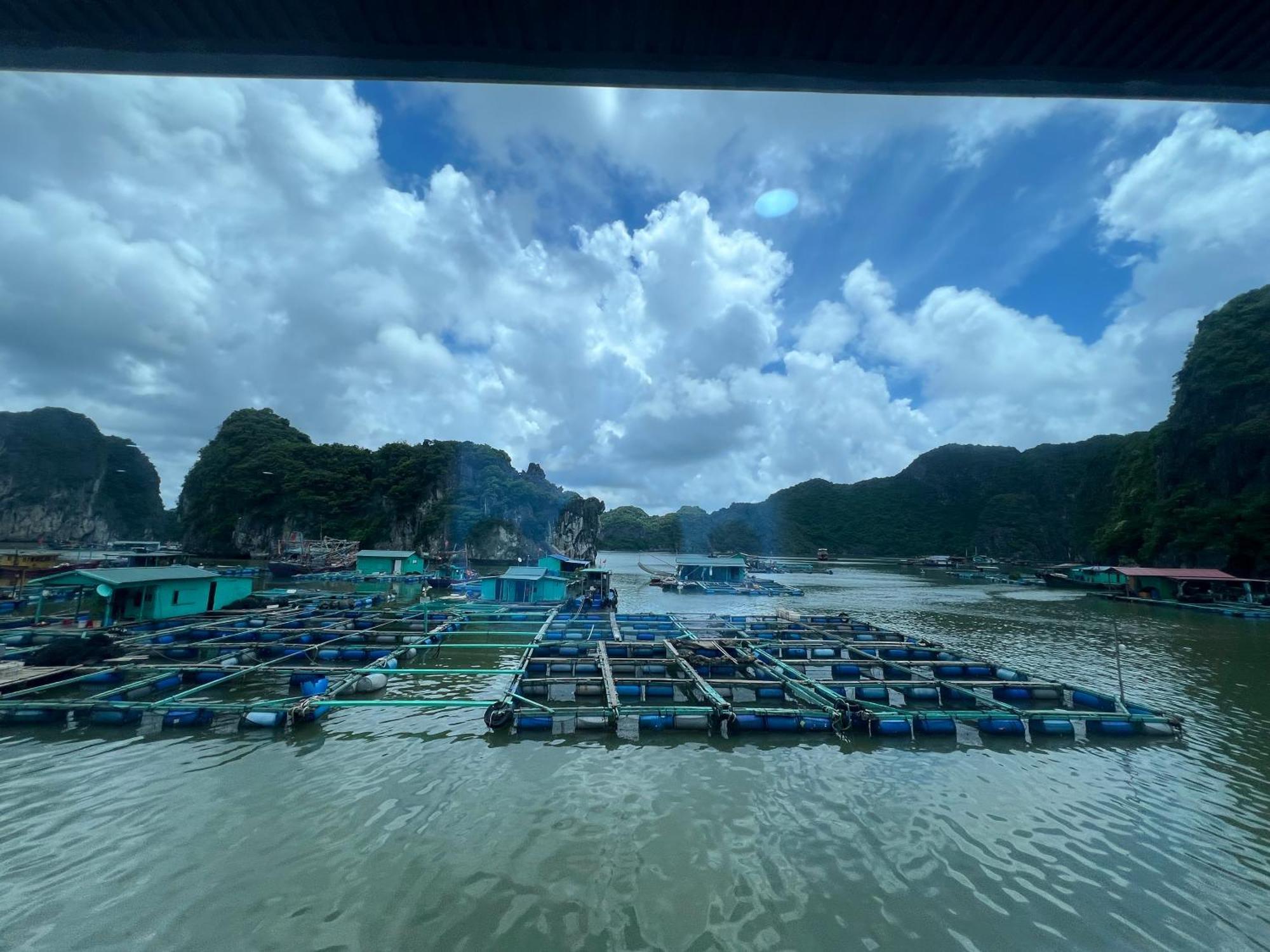 Mb Central Hotel Cat Ba Island Exteriér fotografie